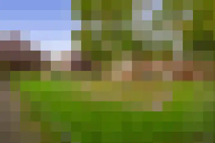 Obliehoren 1 Noordwijk thumbnail 33