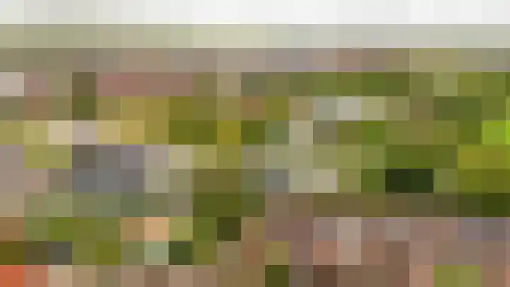 Obliehoren 1 Noordwijk thumbnail 34