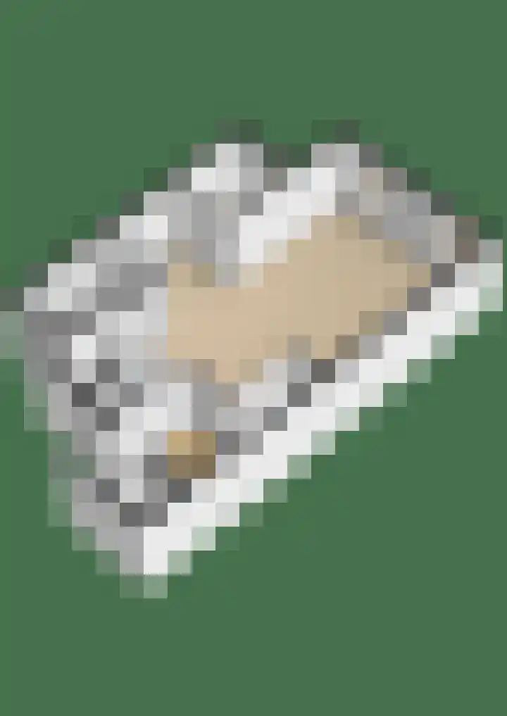 Obliehoren 1 Noordwijk thumbnail 40