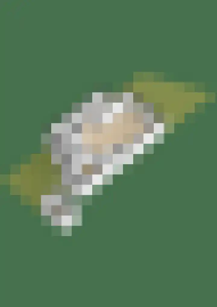 Obliehoren 1 Noordwijk thumbnail 42