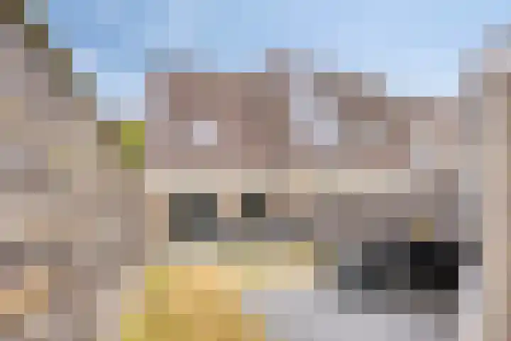 Obool 1 Leiderdorp thumbnail 26