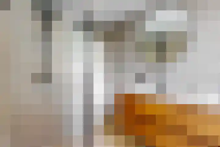 Obool 3 Leiderdorp thumbnail 22