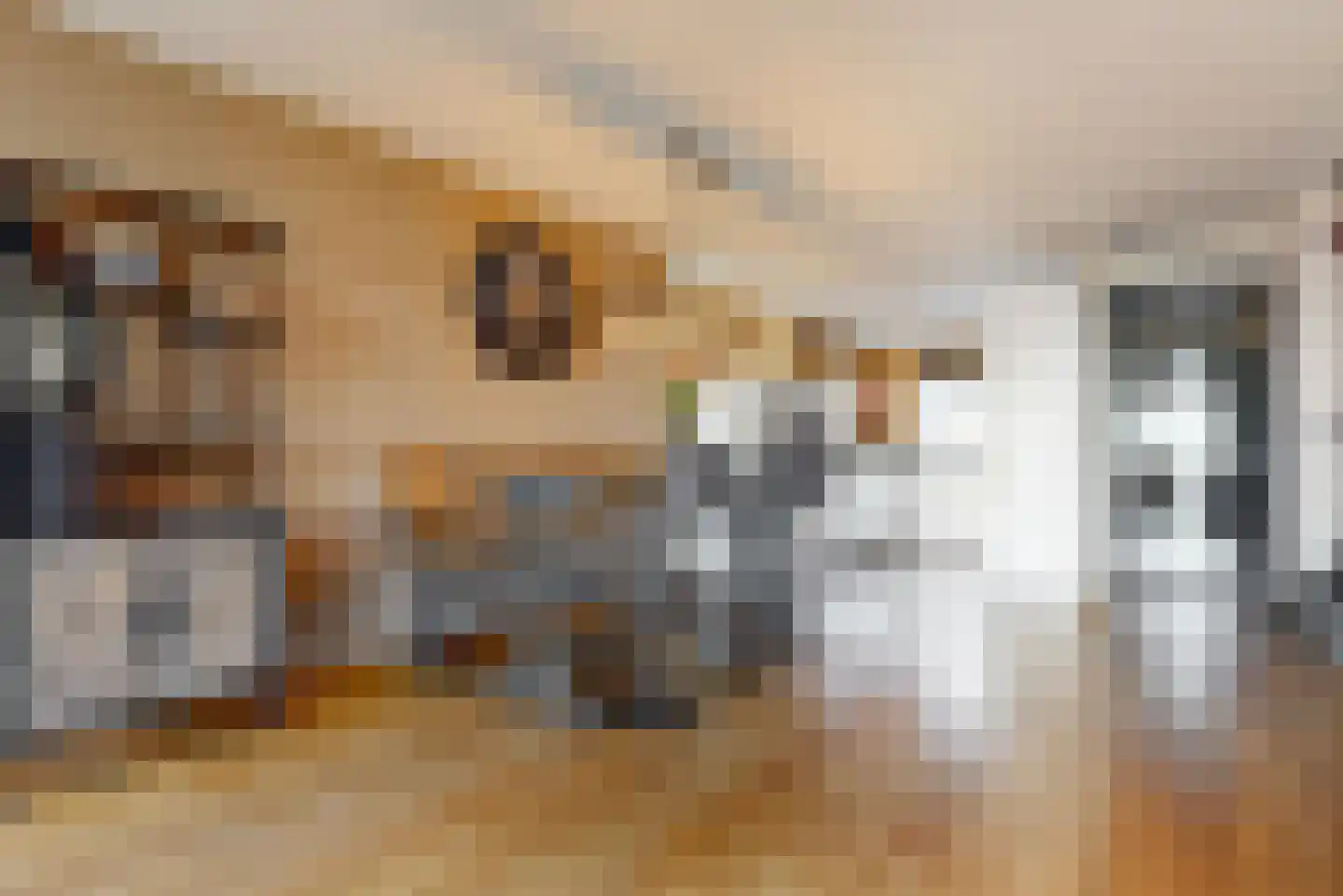 Obool 5 Leiderdorp thumbnail 10