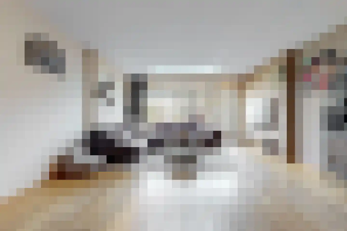 Obool 5 Leiderdorp thumbnail 12