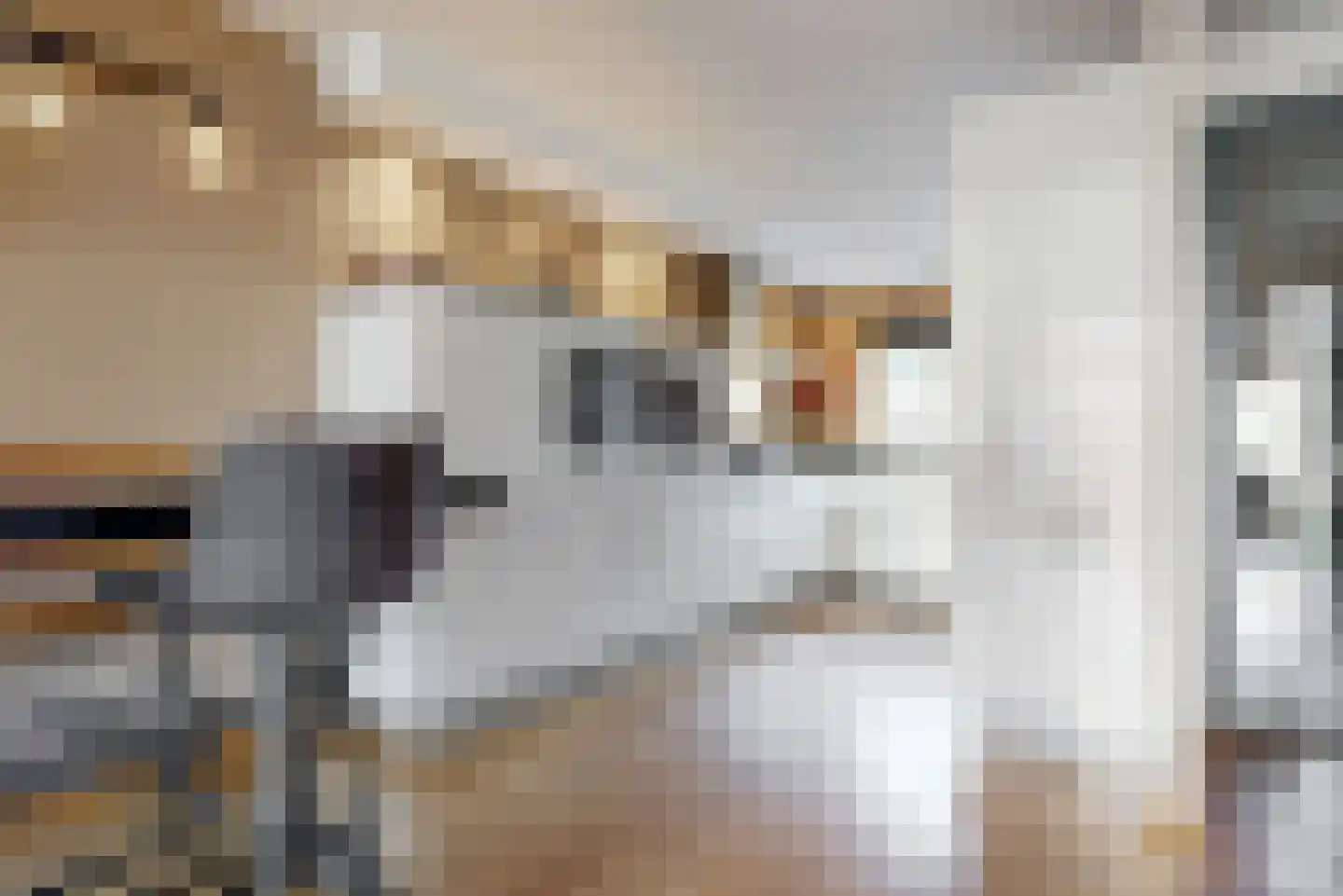 Obool 5 Leiderdorp thumbnail 13