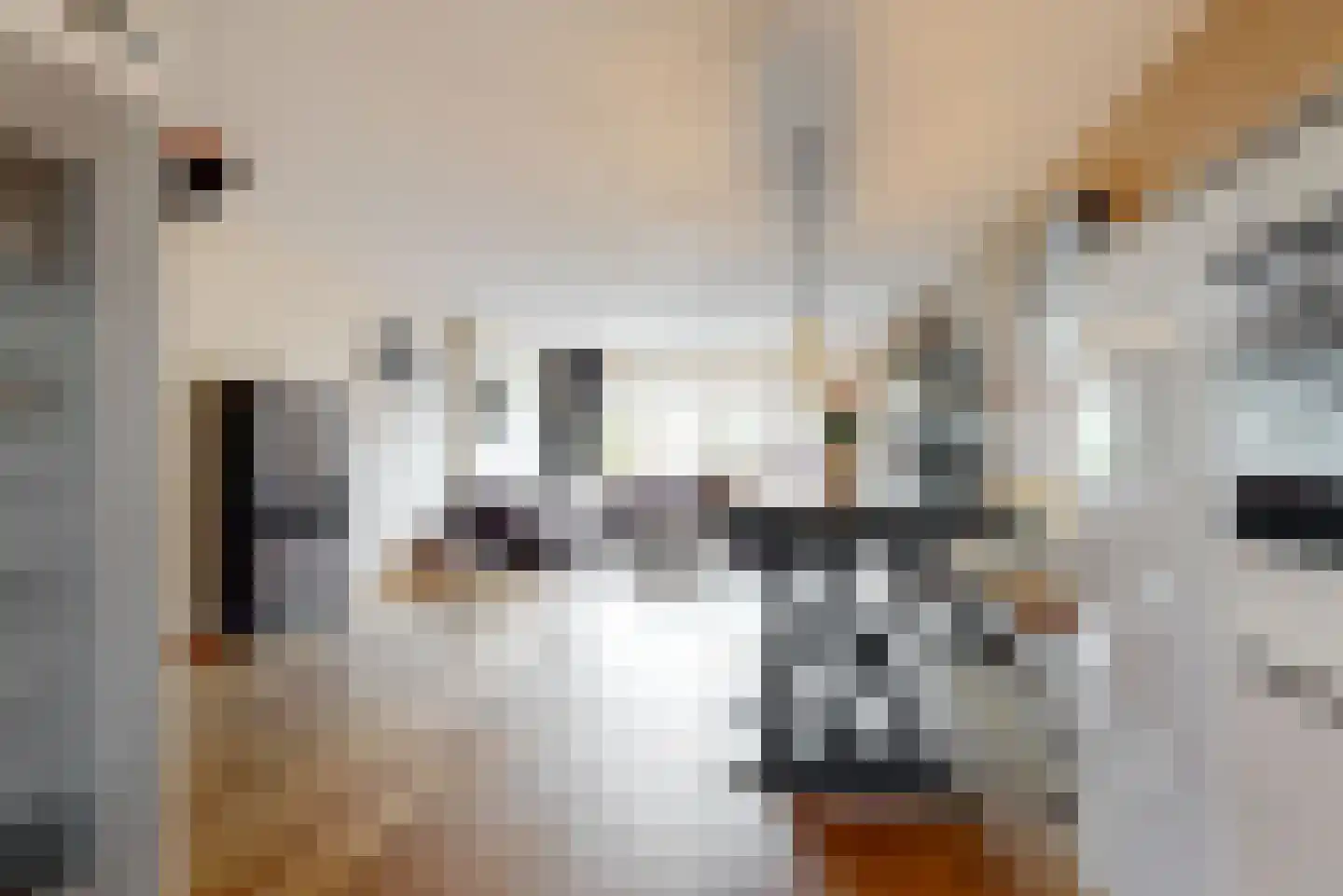 Obool 5 Leiderdorp thumbnail 17