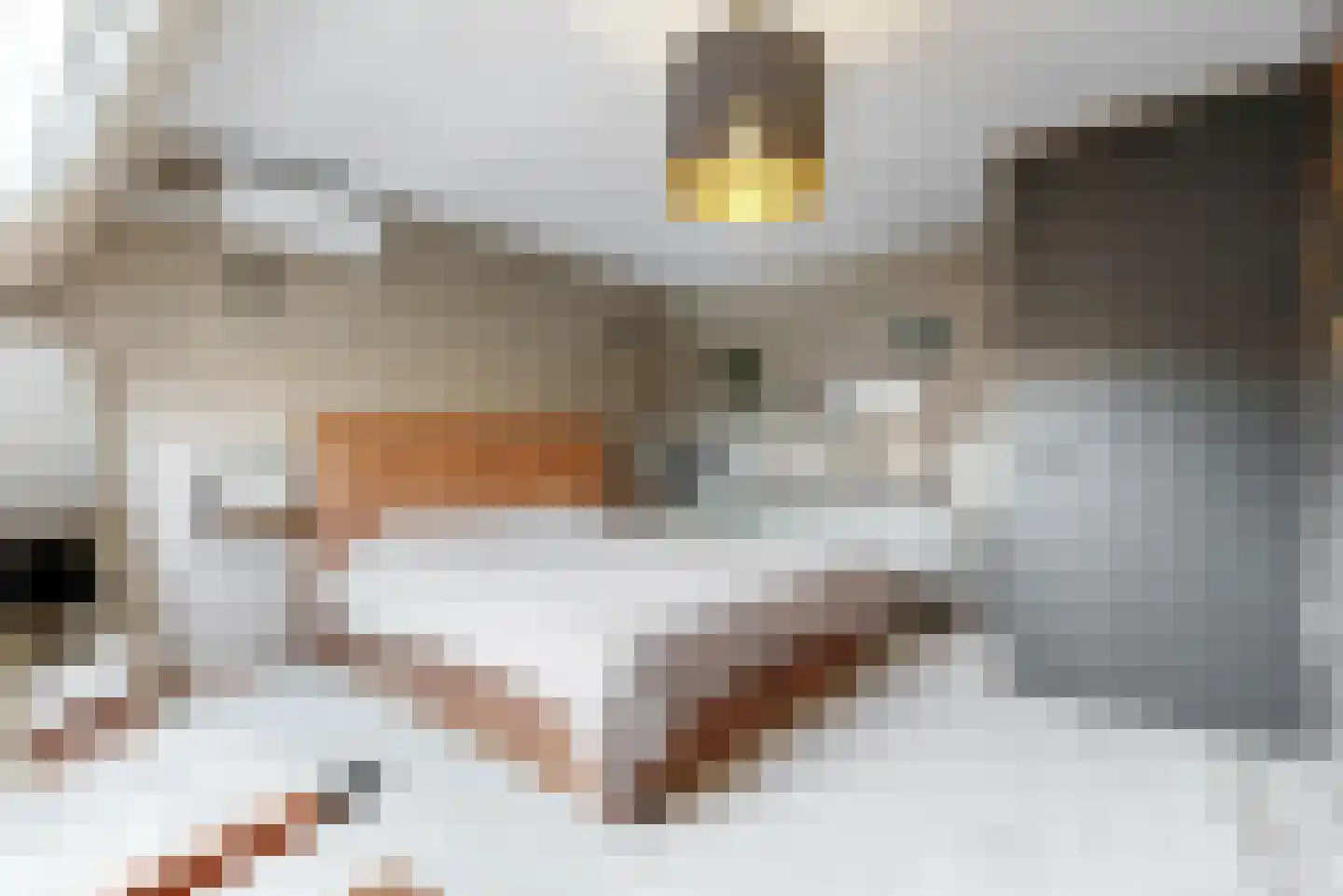 Obool 5 Leiderdorp thumbnail 29