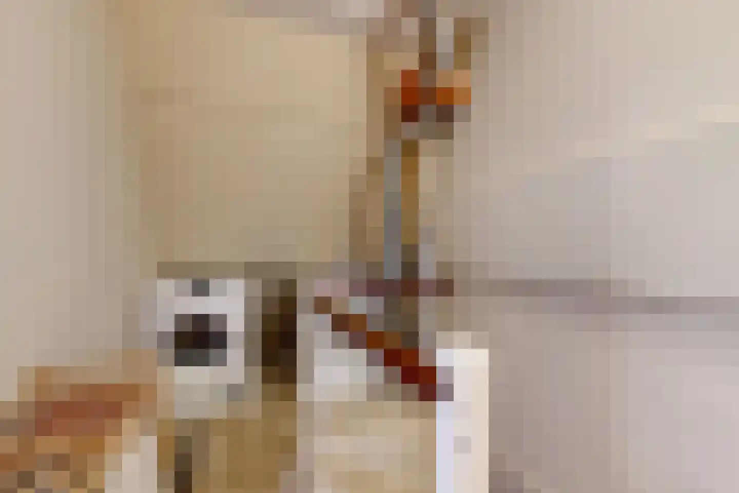 Obool 5 Leiderdorp thumbnail 31