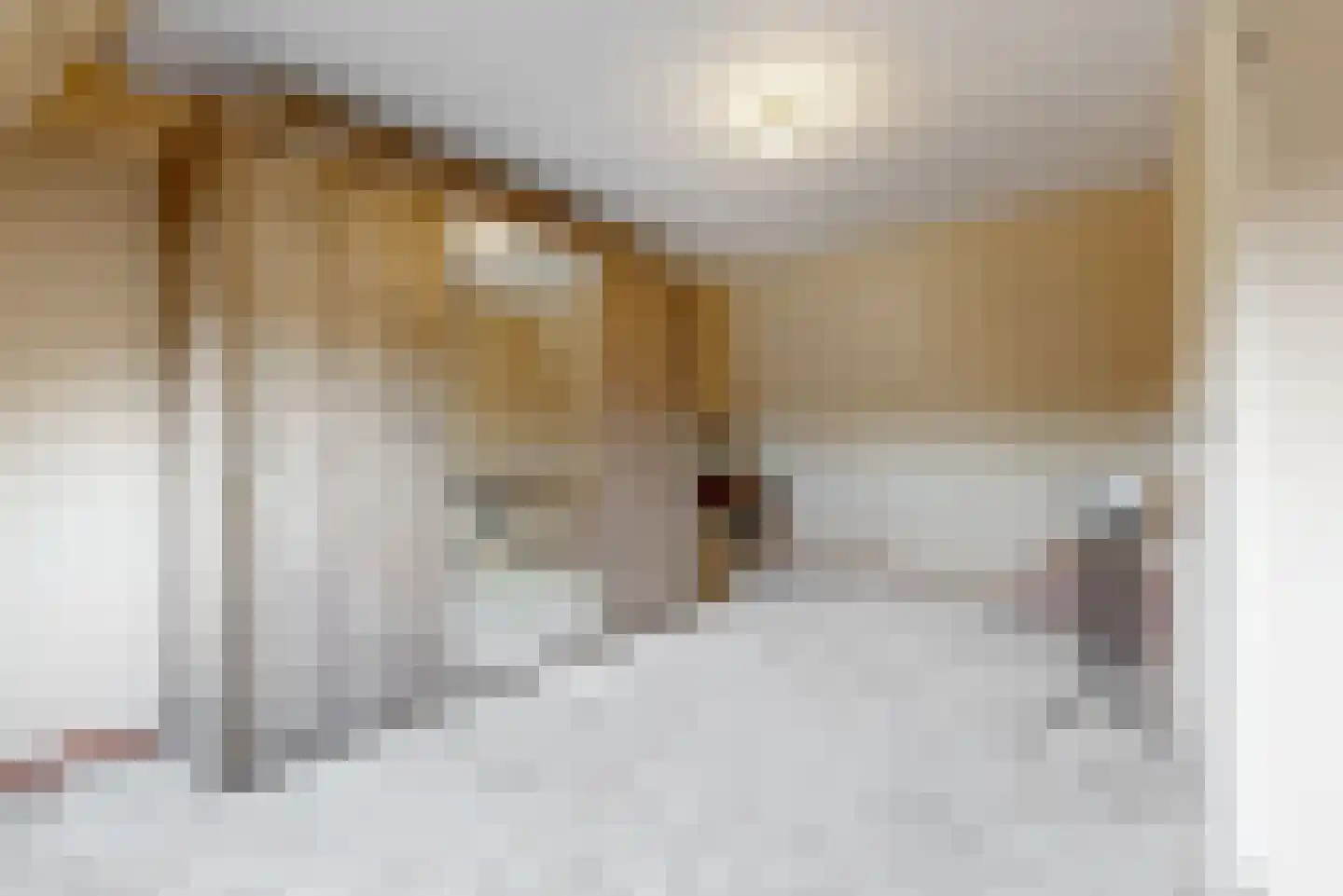 Obool 5 Leiderdorp thumbnail 34