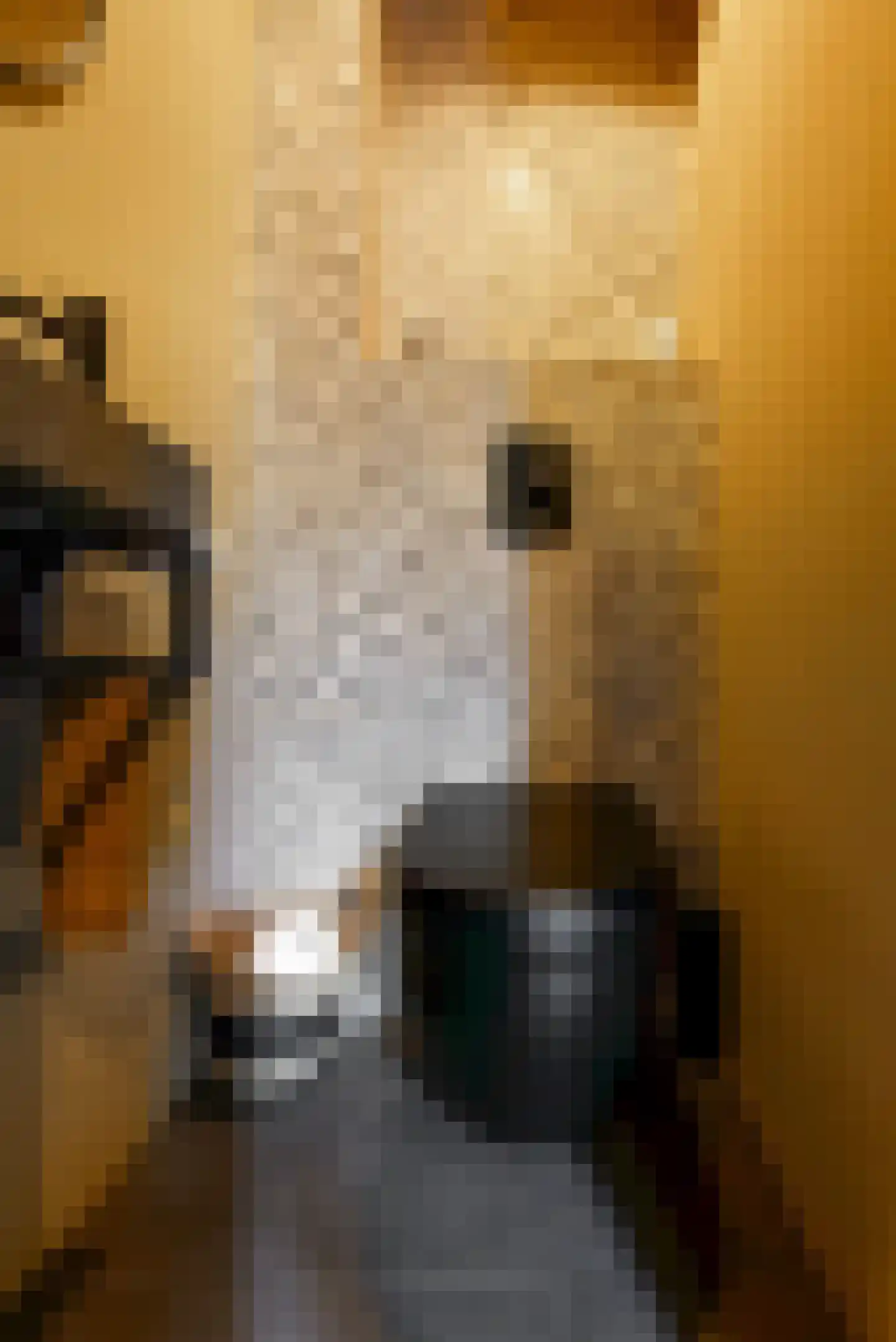 Obool 5 Leiderdorp thumbnail 7