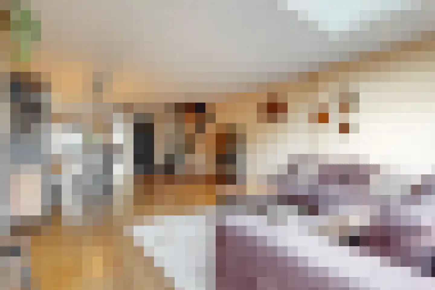Obool 5 Leiderdorp thumbnail 8