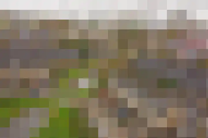 Obrecht 16 Monster thumbnail 20