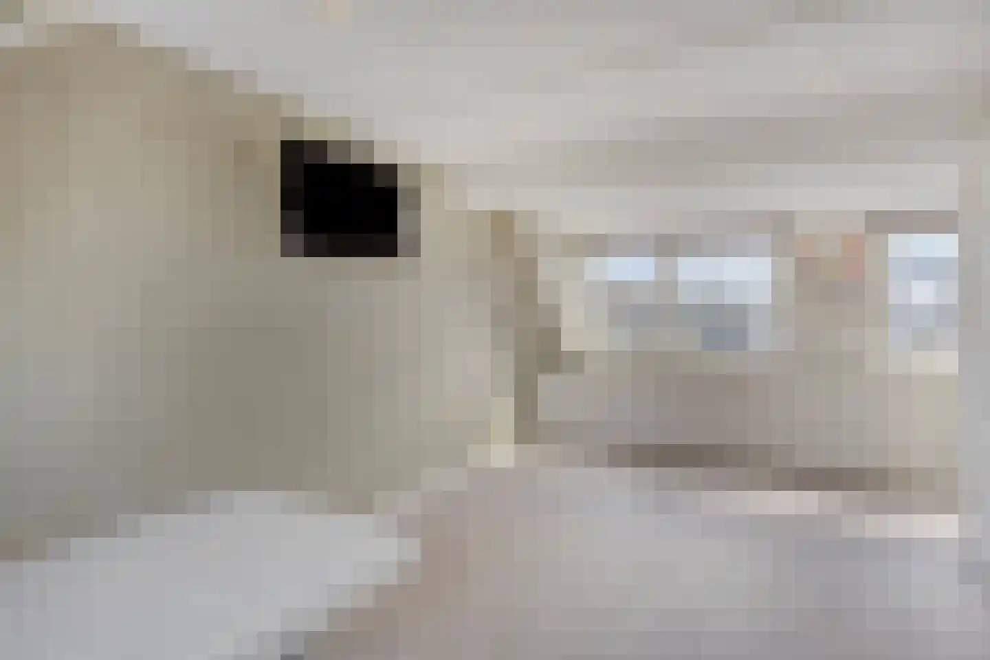 Obrecht 42 Monster thumbnail 32