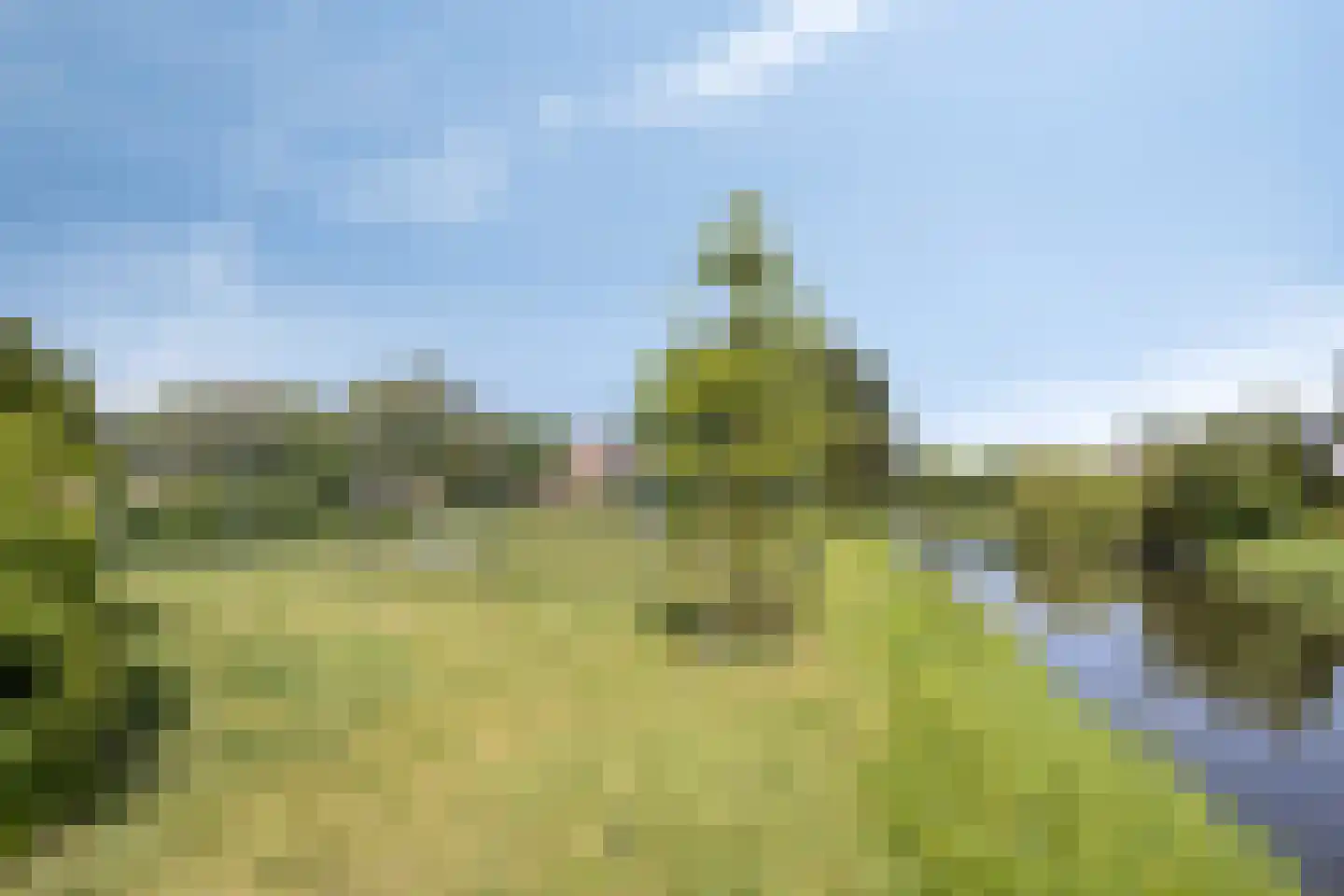 Obrecht 42 Monster thumbnail 37