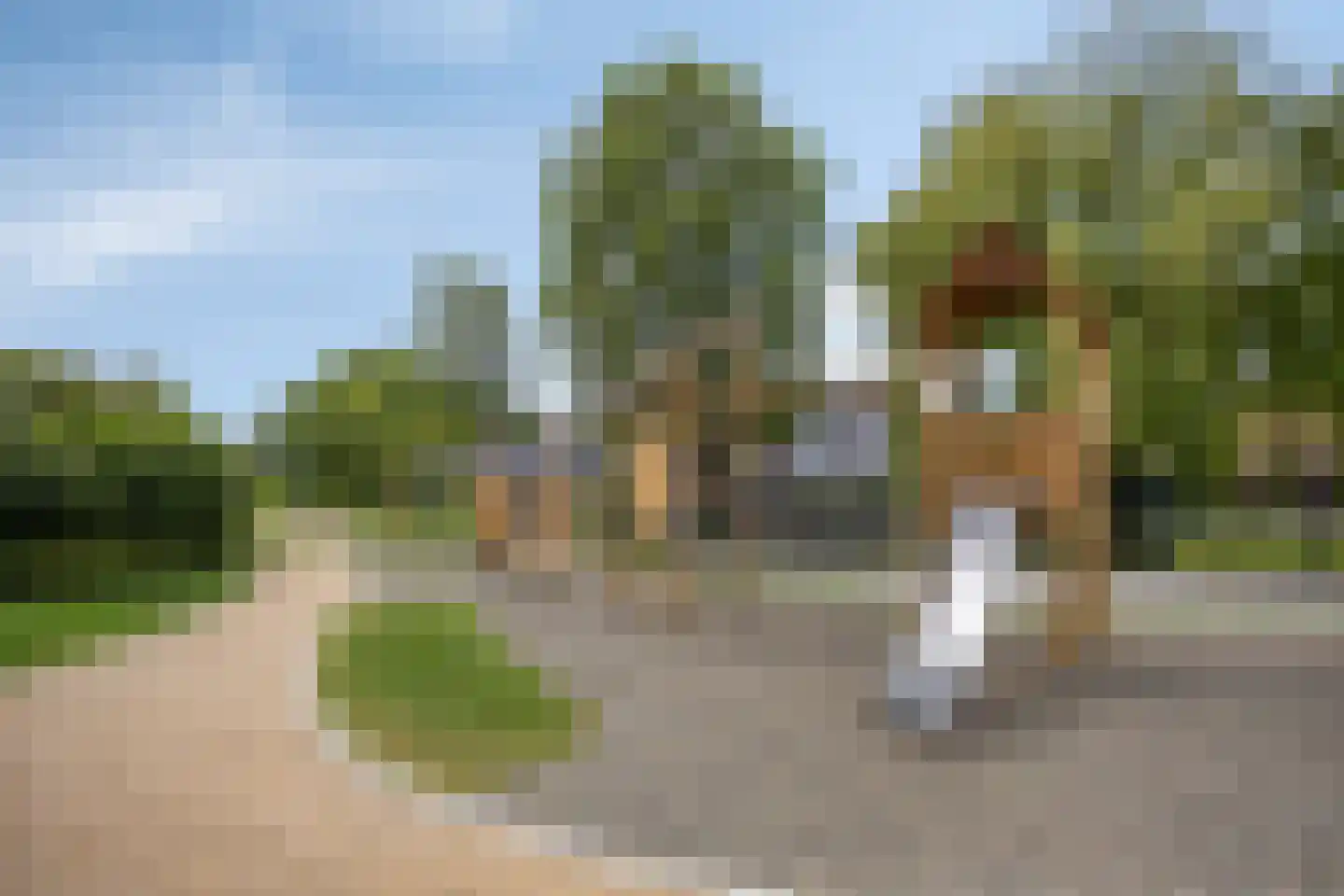 Obrecht 42 Monster thumbnail 39