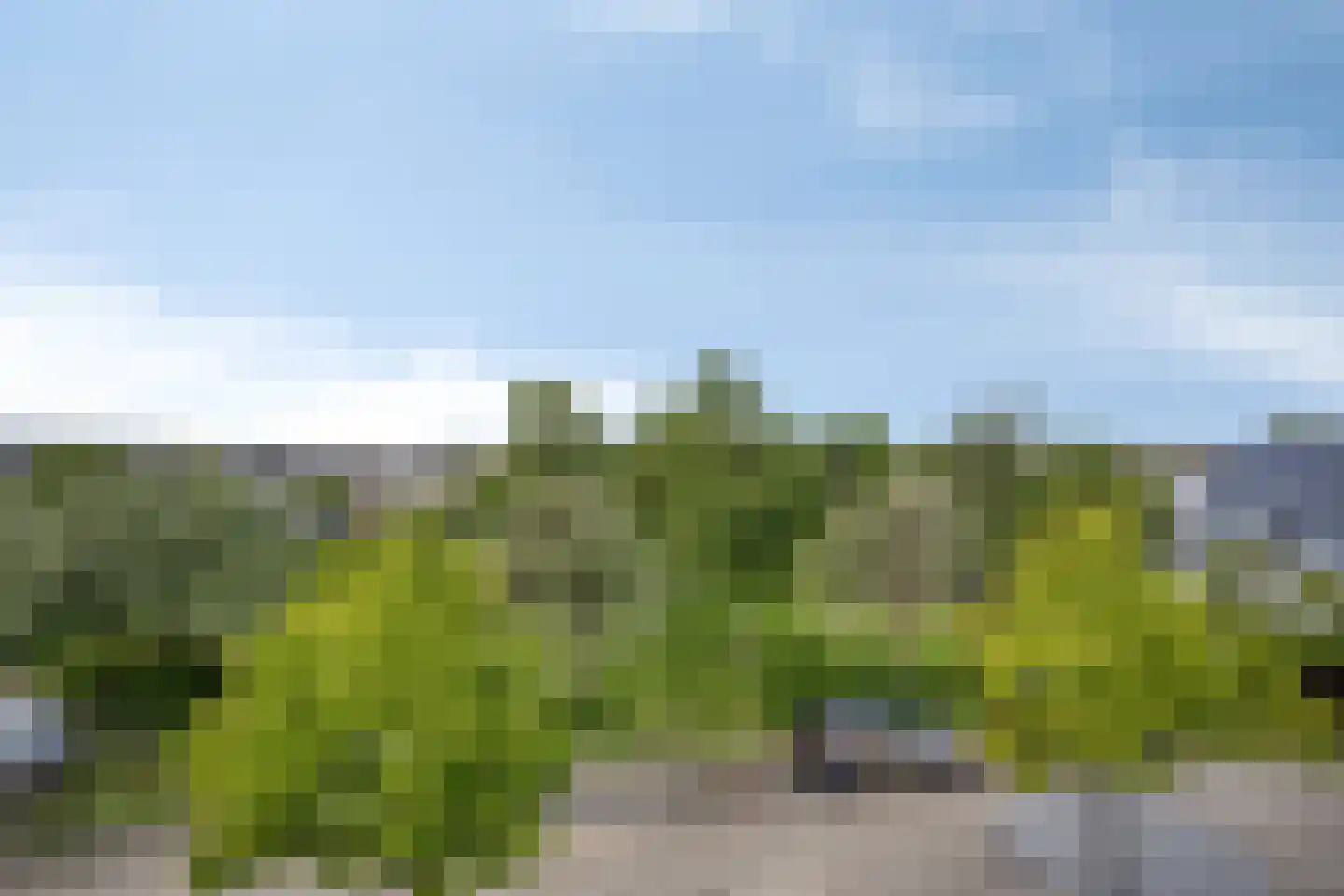 Obrecht 42 Monster thumbnail 4
