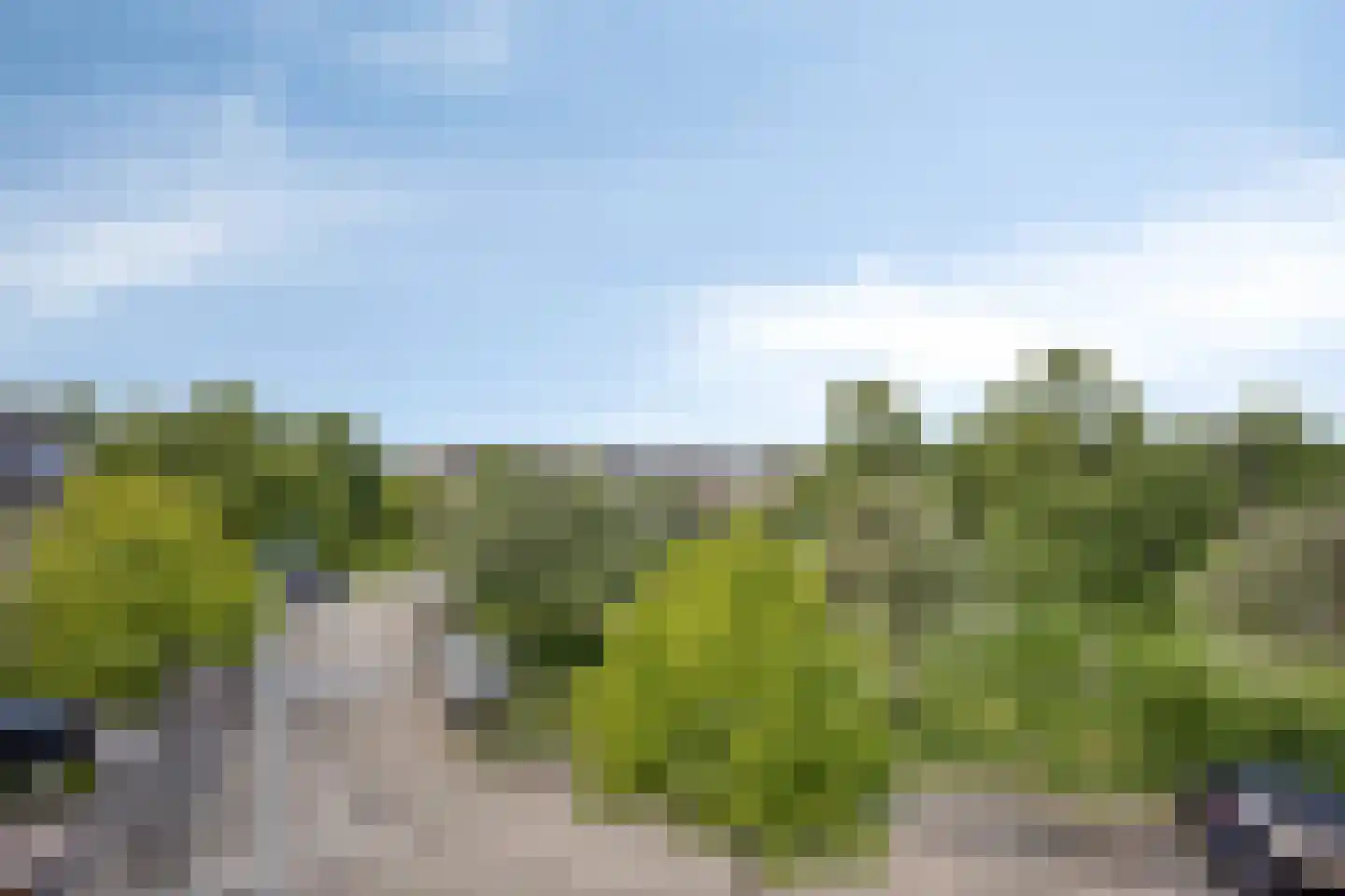 Obrecht 42 Monster thumbnail 44
