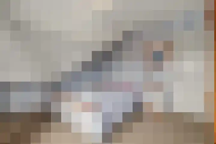 Obrecht 9 Monster thumbnail 17