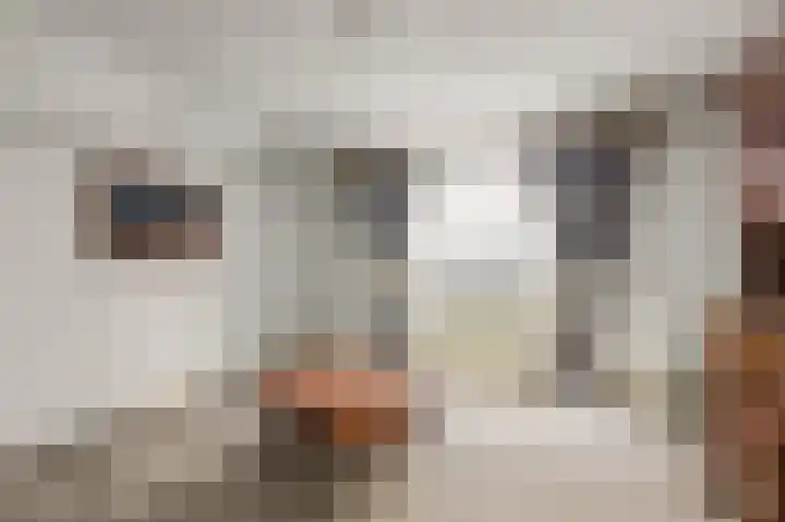 Obrecht 9 Monster thumbnail 27