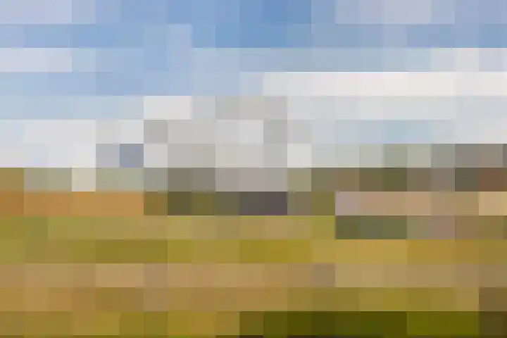 Obrecht 9 Monster thumbnail 28