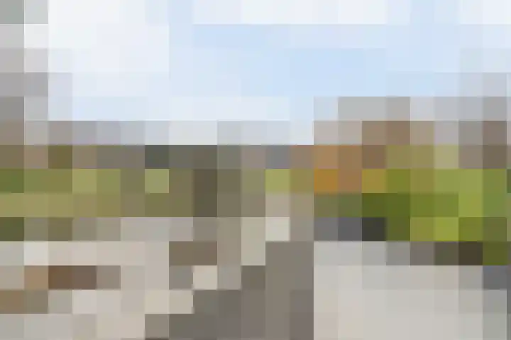 Obrecht 9 Monster thumbnail 30