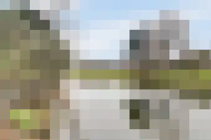 Obrecht 9 Monster thumbnail 31