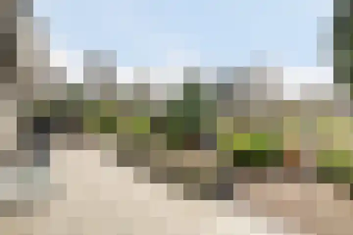 Obrecht 9 Monster thumbnail 33