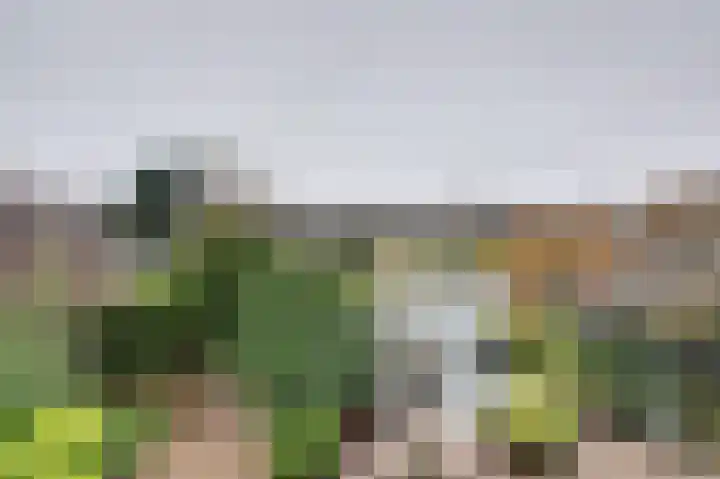 Obrecht 9 Monster thumbnail 34