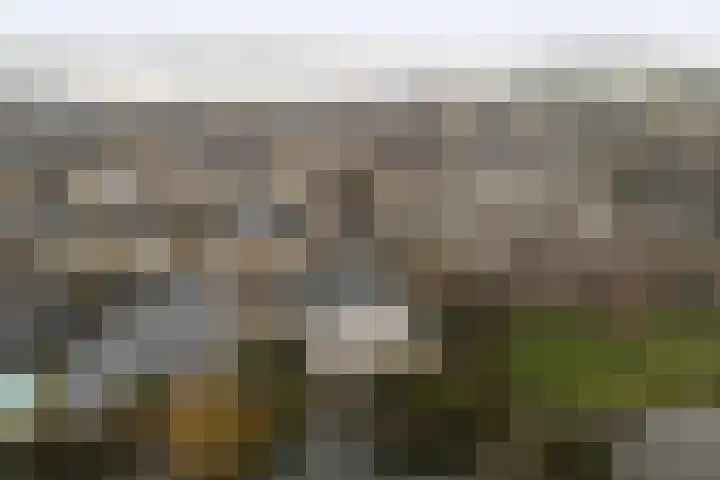 Obrecht 9 Monster thumbnail 41