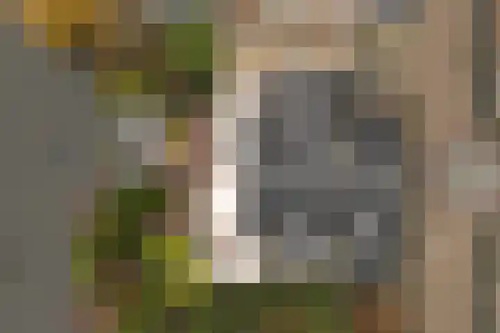 Obrecht 9 Monster thumbnail 42