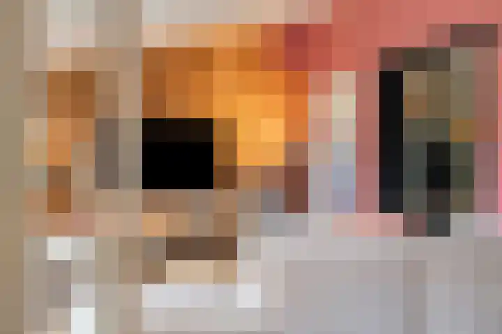 Obrecht 9 Monster thumbnail 46