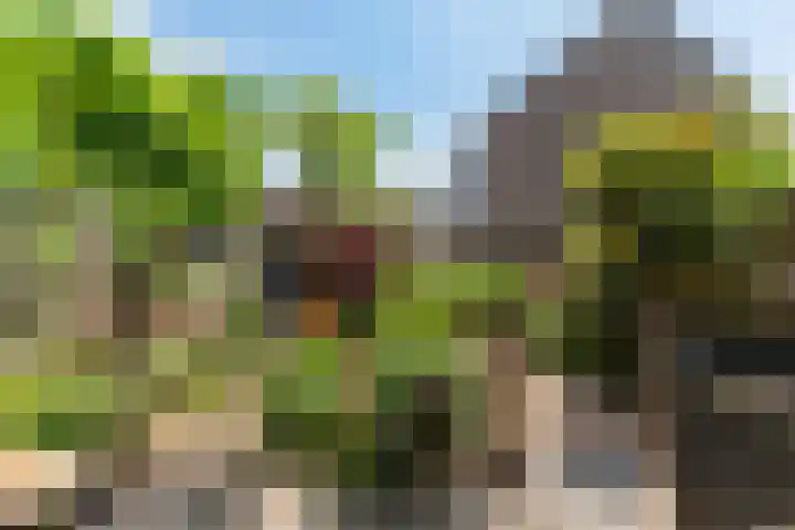 Obrecht 90 Monster thumbnail 12