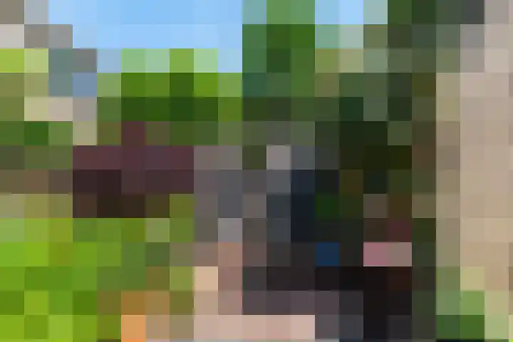 Obrecht 90 Monster thumbnail 16
