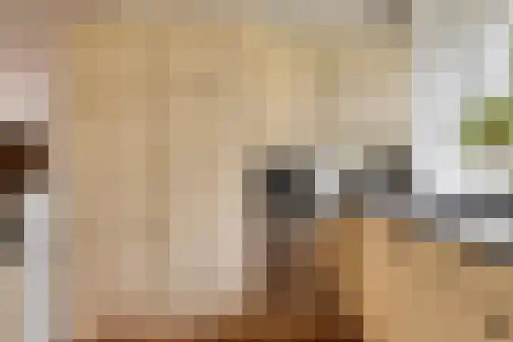 Obrechthof 12 Alphen aan den Rijn thumbnail 14