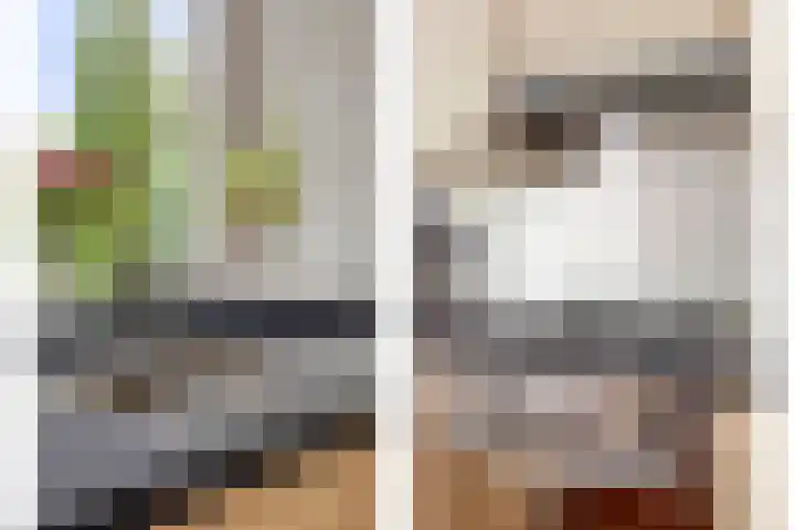Obrechthof 12 Alphen aan den Rijn thumbnail 15