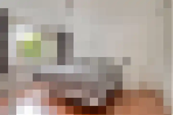 Obrechthof 12 Alphen aan den Rijn thumbnail 18