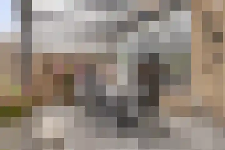 Obrechthof 12 Alphen aan den Rijn thumbnail 30