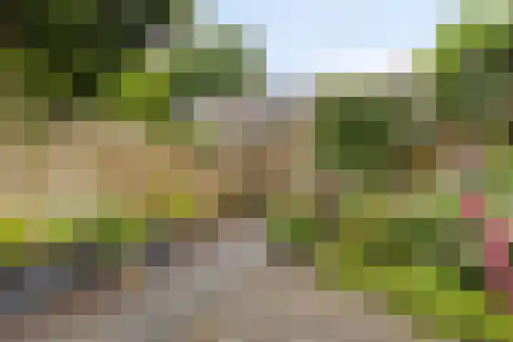 Obrechthof 12 Alphen aan den Rijn thumbnail 31