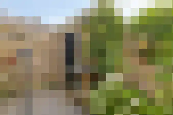Obrechthof 12 Alphen aan den Rijn thumbnail 32