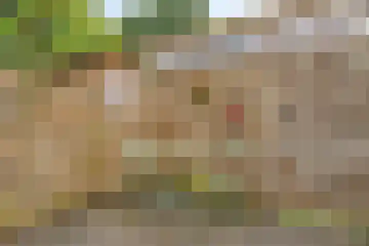 Obrechthof 12 Alphen aan den Rijn thumbnail 33