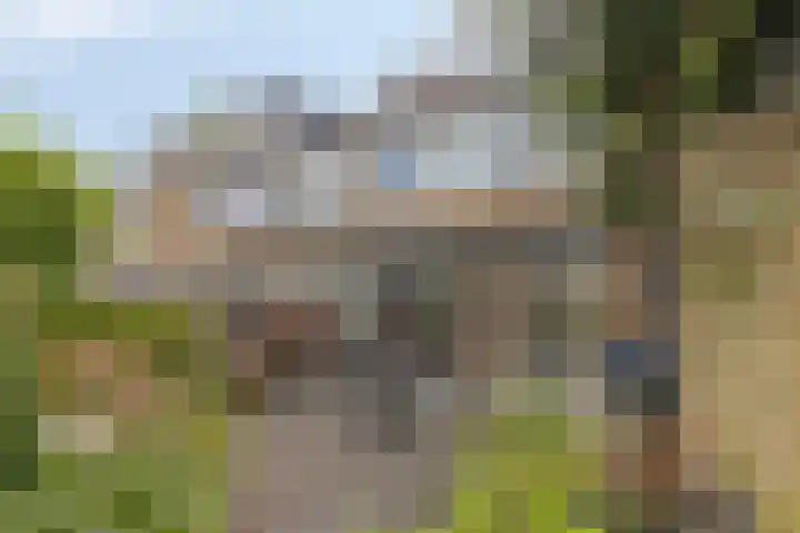 Obrechthof 12 Alphen aan den Rijn thumbnail 34