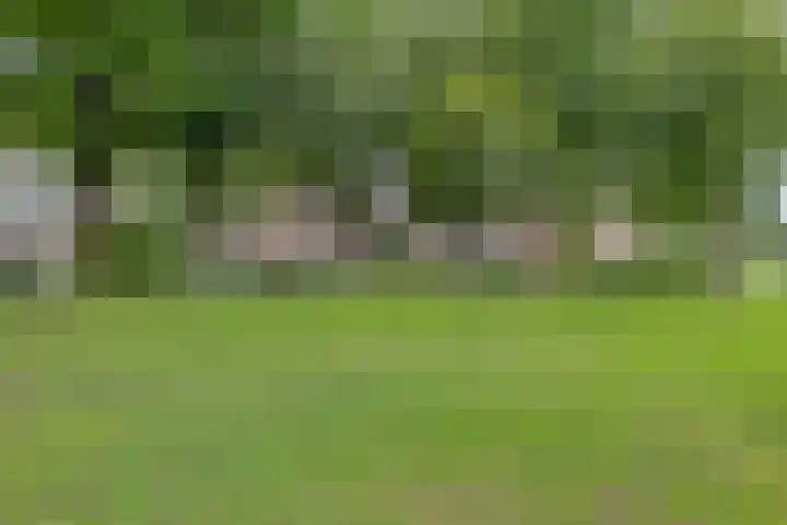 Obrechthof 12 Alphen aan den Rijn thumbnail 35