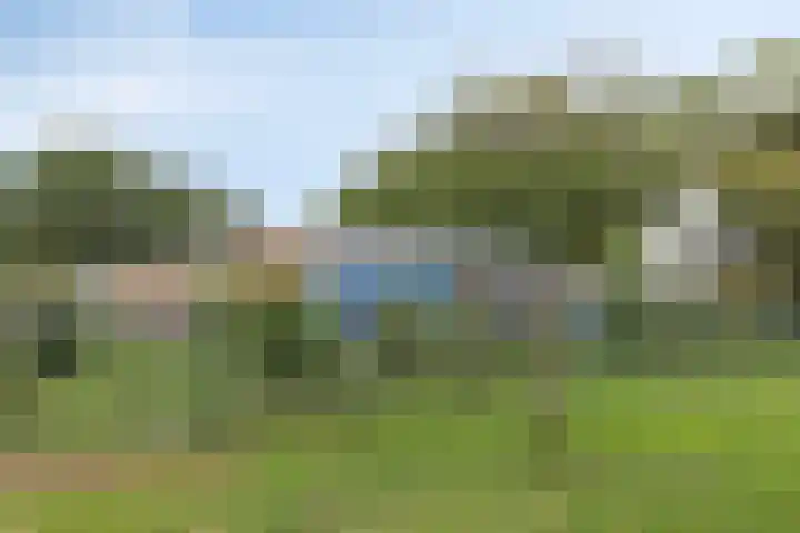 Obrechthof 12 Alphen aan den Rijn thumbnail 37