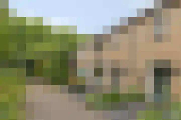 Obrechthof 12 Alphen aan den Rijn thumbnail 5