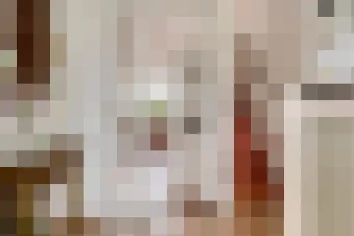 Obrechthof 12 Alphen aan den Rijn thumbnail 7