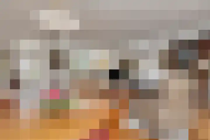 Obrechthof 12 Alphen aan den Rijn thumbnail 8