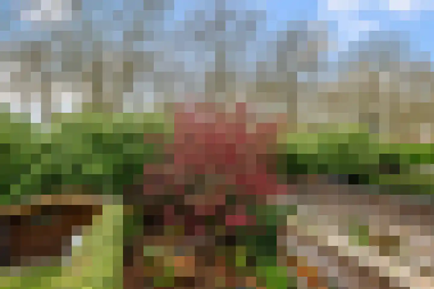 Obrechthof 26 Alphen aan den Rijn thumbnail 21