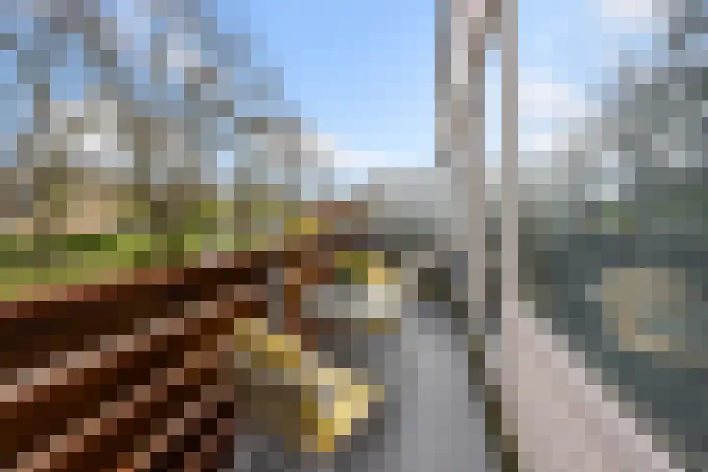 Obrechthof 26 Alphen aan den Rijn thumbnail 22