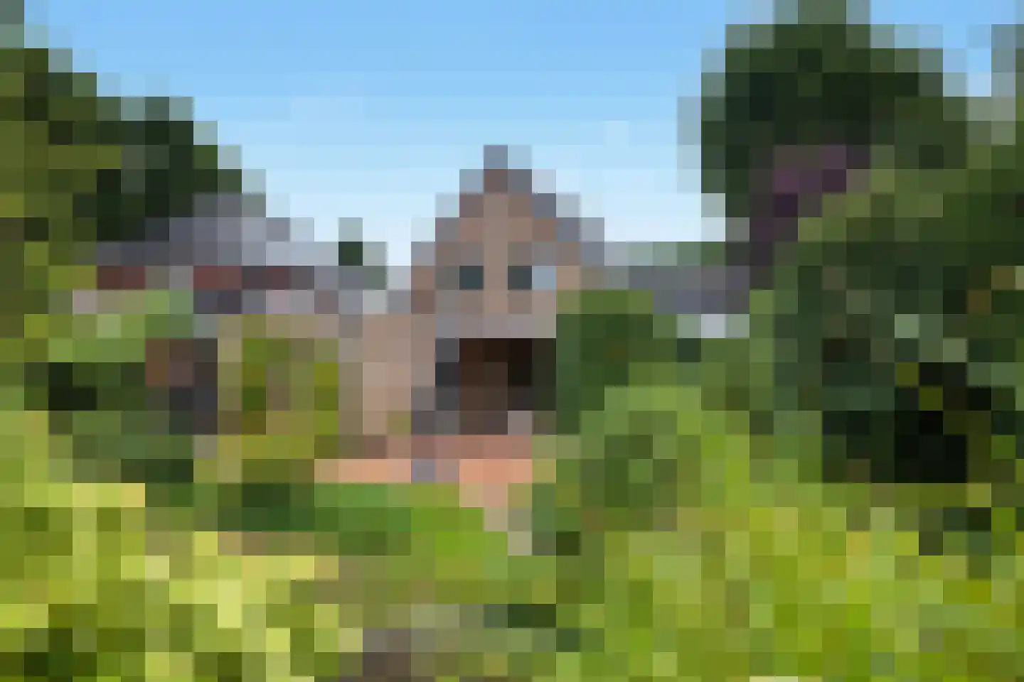 Obrechtlaan 1 A Ede thumbnail 41