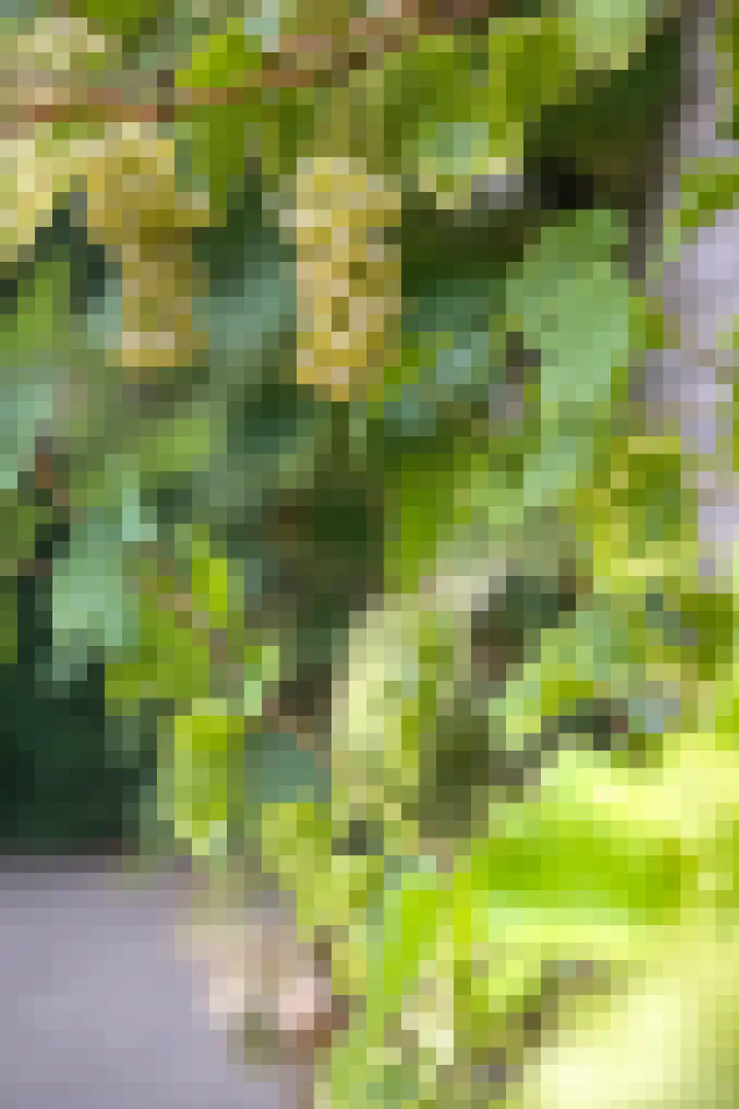 Obrechtlaan 1 A Ede thumbnail 43